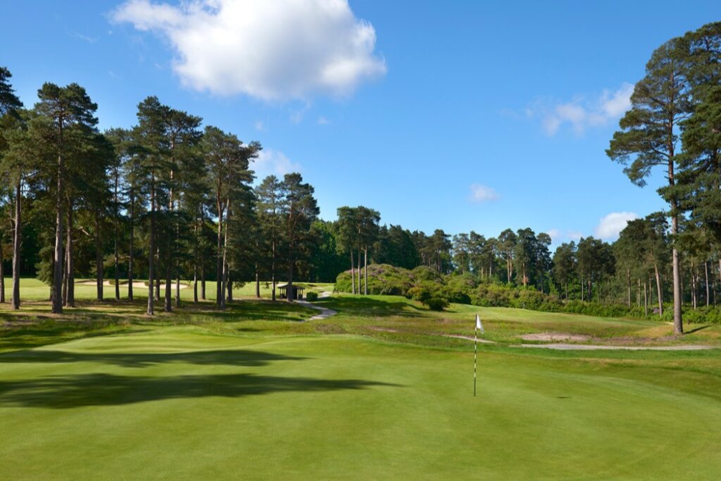 Swinley Forest Ascot golf course